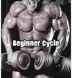 Beginner Steroid Cycle – Buy Dianabol Online