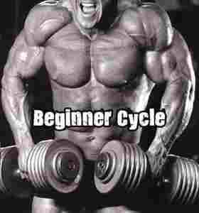 Beginner Steroid Cycle