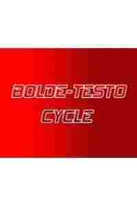 Bolde - Testo Cycle