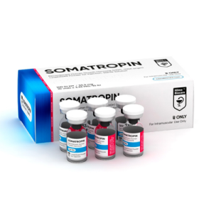 HGH Somatropin / Powder Hilma Biocare EU HGH Somatropin / Powder Hilma Biocare EU