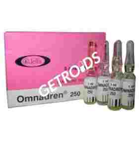 Jelfa Omnadren 250 Jelfa USA – Buy Testosterone Phenylpropionate Online Jelfa Omnadren 250 Jelfa USA – Buy Testosterone Phenylpropionate Online