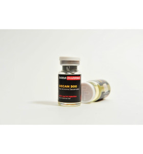 Para Pharma DECAN 3000 Mg 10 Ml Para Pharma – Buy Injectable Steroids (Liquids) -> Injectable Steroids (Liquids) Online Para Pharma DECAN 3000 Mg 10 Ml Para Pharma – Buy Injectable Steroids (Liquids) -> Injectable Steroids (Liquids) Online