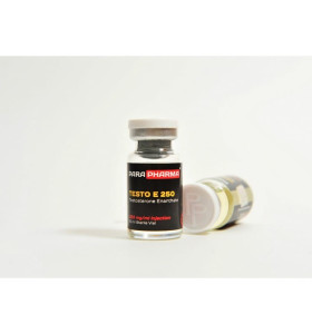 Testo E 2500 Mg 10 Ml Para Pharma