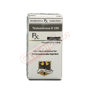 Odin Pharma Testosterone Enanthate 250 mg 10 ml Odin Pharma – Buy Injectable Steroids (Liquids) -> Injectable Steroids (Liquids) Online Odin Pharma Testosterone Enanthate 250 mg 10 ml Odin Pharma – Buy Injectable Steroids (Liquids) -> Injectable Steroids (Liquids) Online