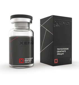 Testosterone Enanthate 250 mg 10 ml Xeno US