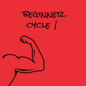 Beginner Cycle 1