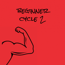 Beginner Cycle 2
