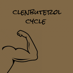 Clenbuterol Defination Cycle 