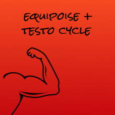Equipoise - Testosterone Cycle
