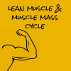 Lean Muscle & Muscle Mass Cycle