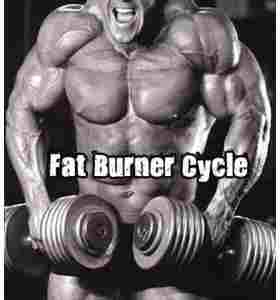 Fat Burner Cycle – Buy Clenbuterol Online